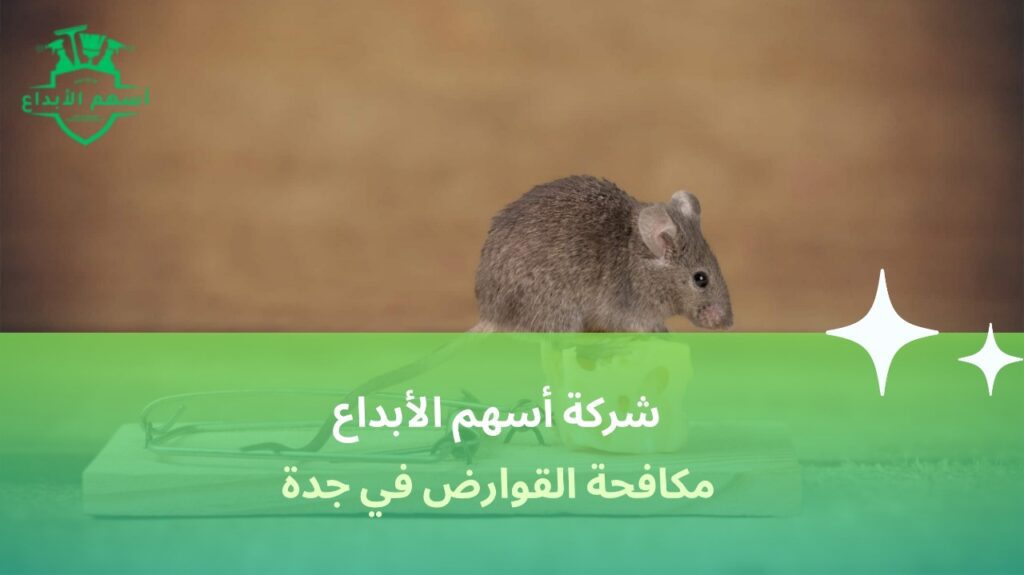 مكافحة القوارض في جدة