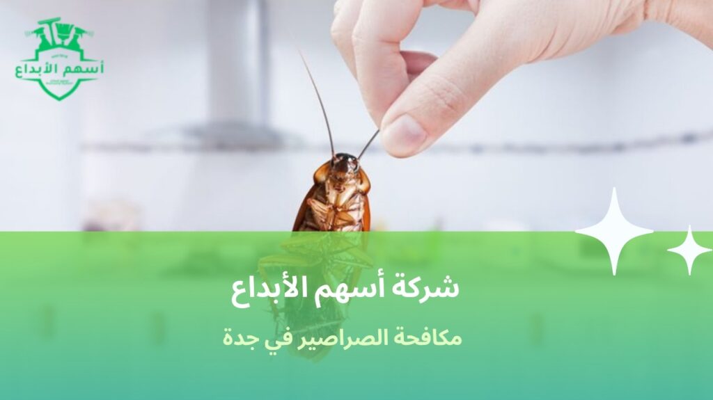 مكافحة الصراصير في جدة