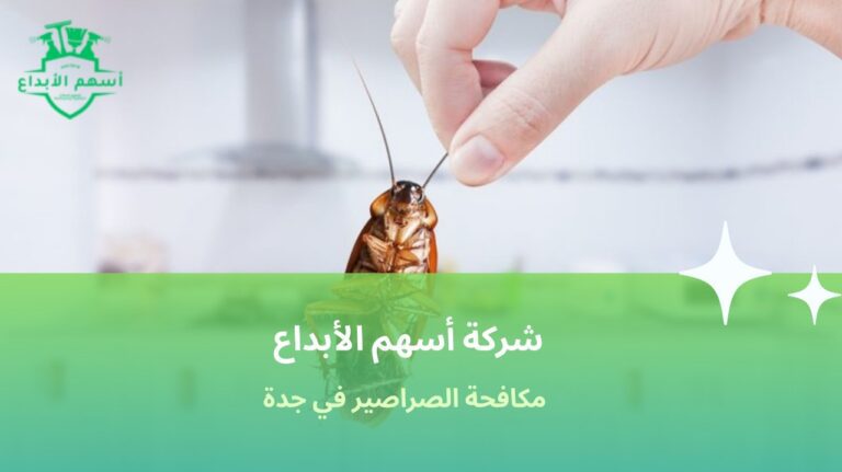 مكافحة الصراصير في جدة