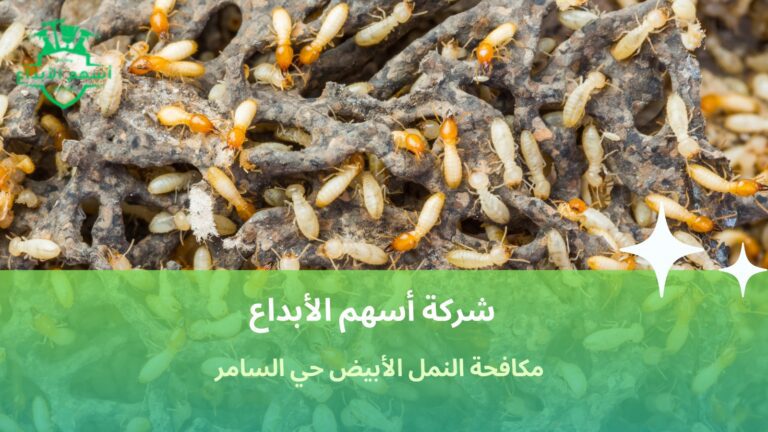 مكافحة النمل الأبيض حي السامر