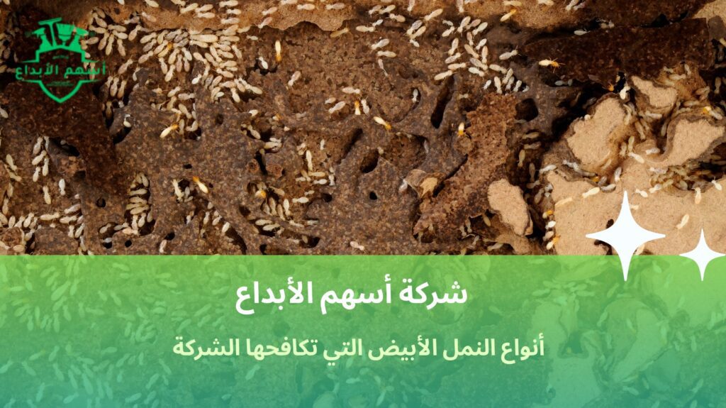مكافحة النمل الأبيض حي السامر