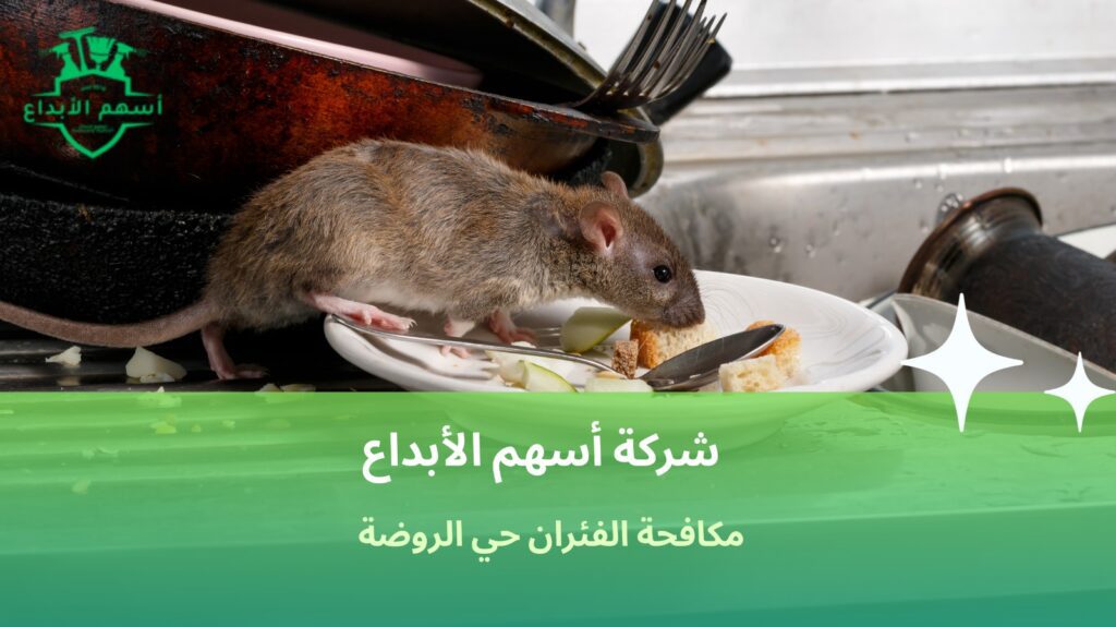 مكافحة الفئران حي الروضة