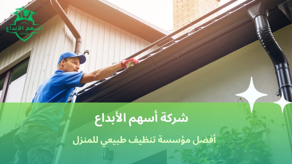 تنظيف طبيعي للمنزل