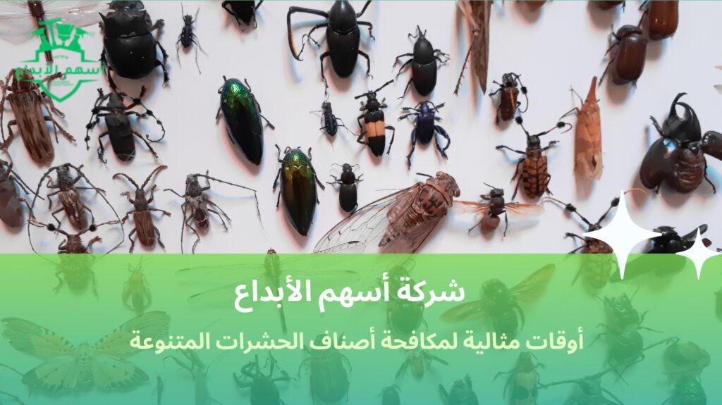 أفضل وقت لمكافحة الحشرات