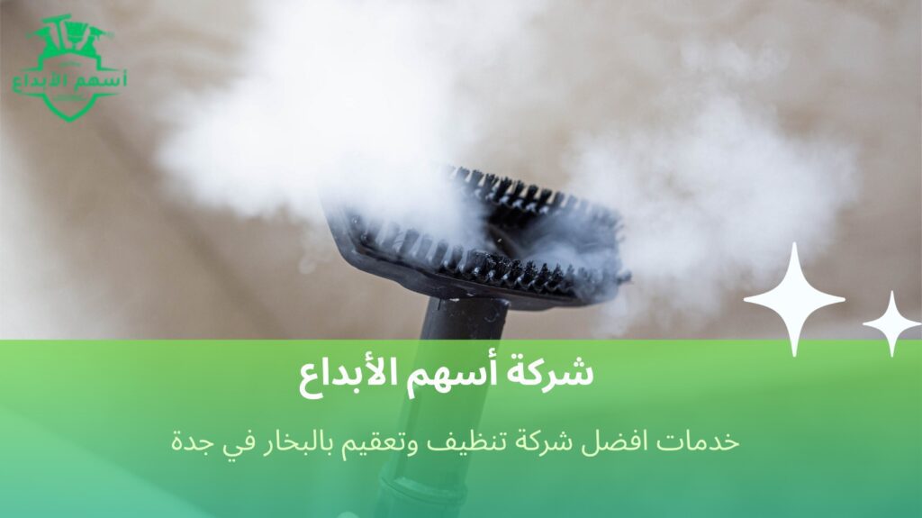 تنظيف وتعقيم بالبخار في جدة