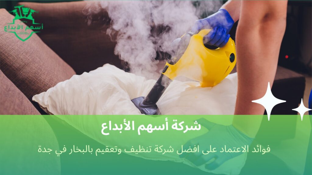 تنظيف وتعقيم بالبخار في جدة