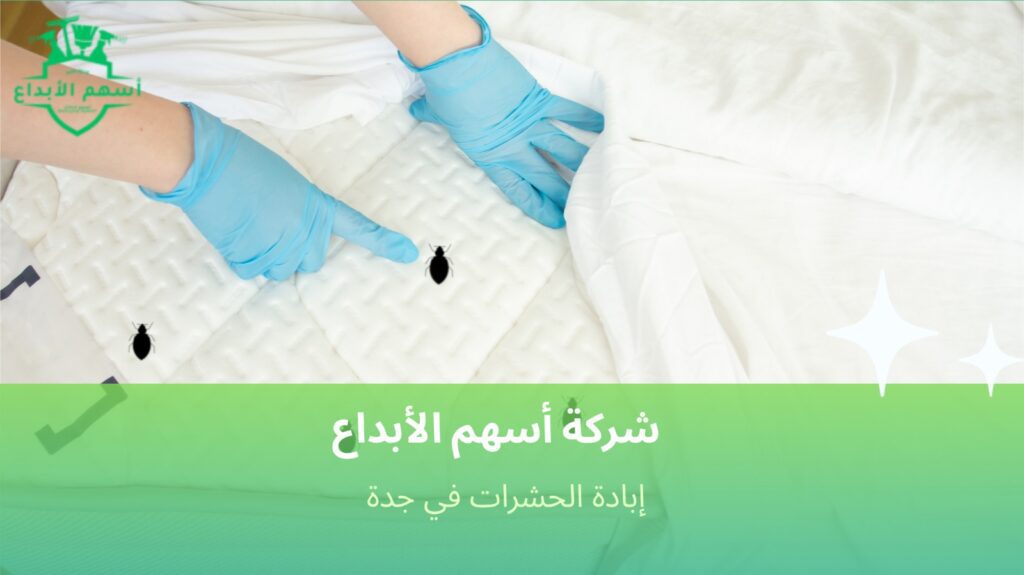 كيفية تجنب الأخطاء أثناء إبادة الحشرات في جدة  