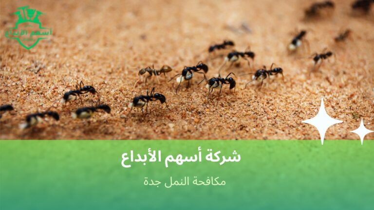 مكافحة النمل جدة
