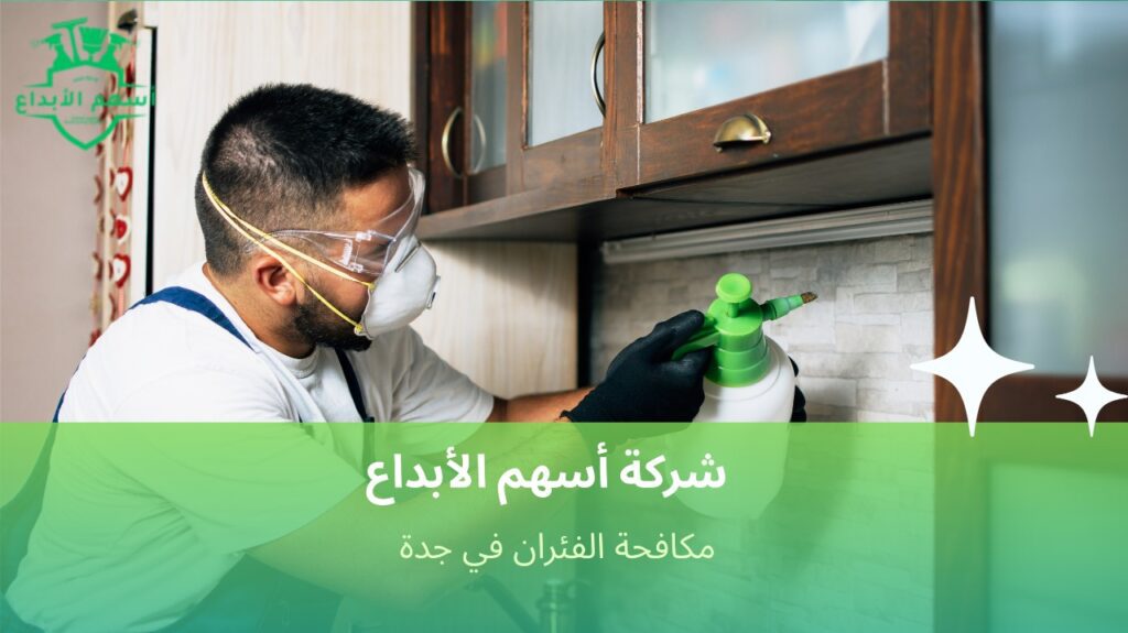 نصائح مكافحة الفئران في جدة