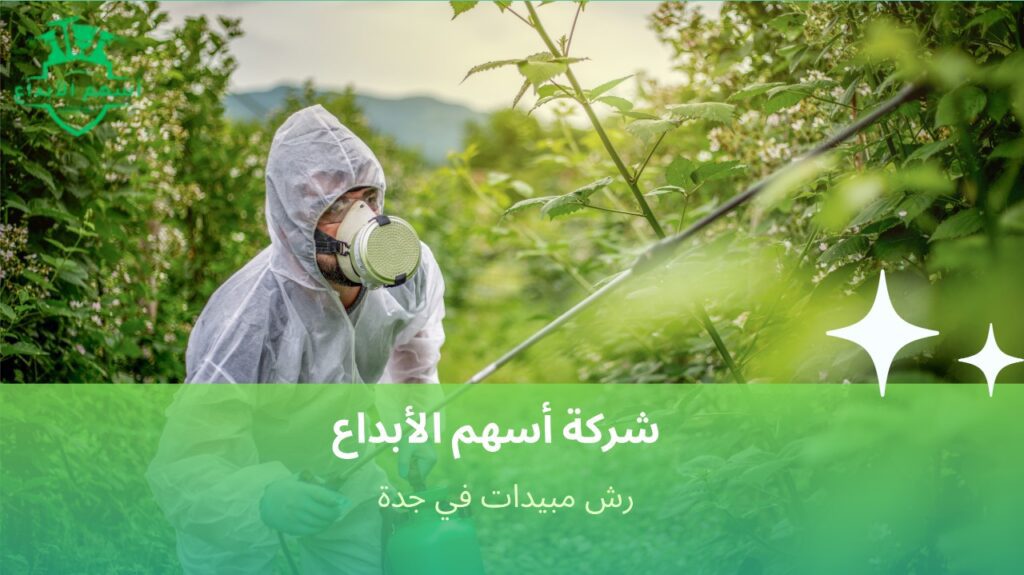 رش مبيدات في جدة