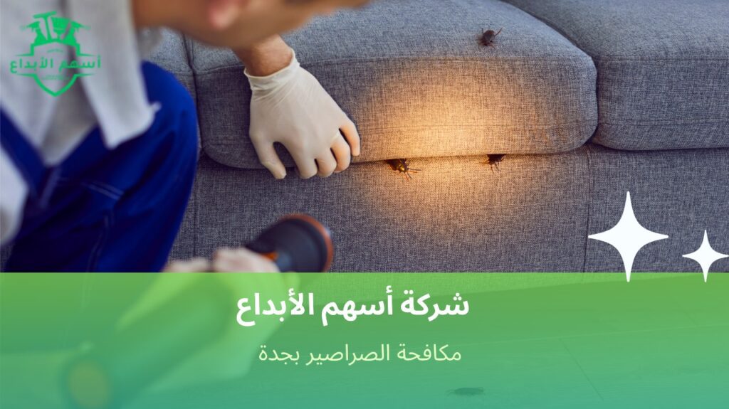 مكافحة الصراصير بجدة
