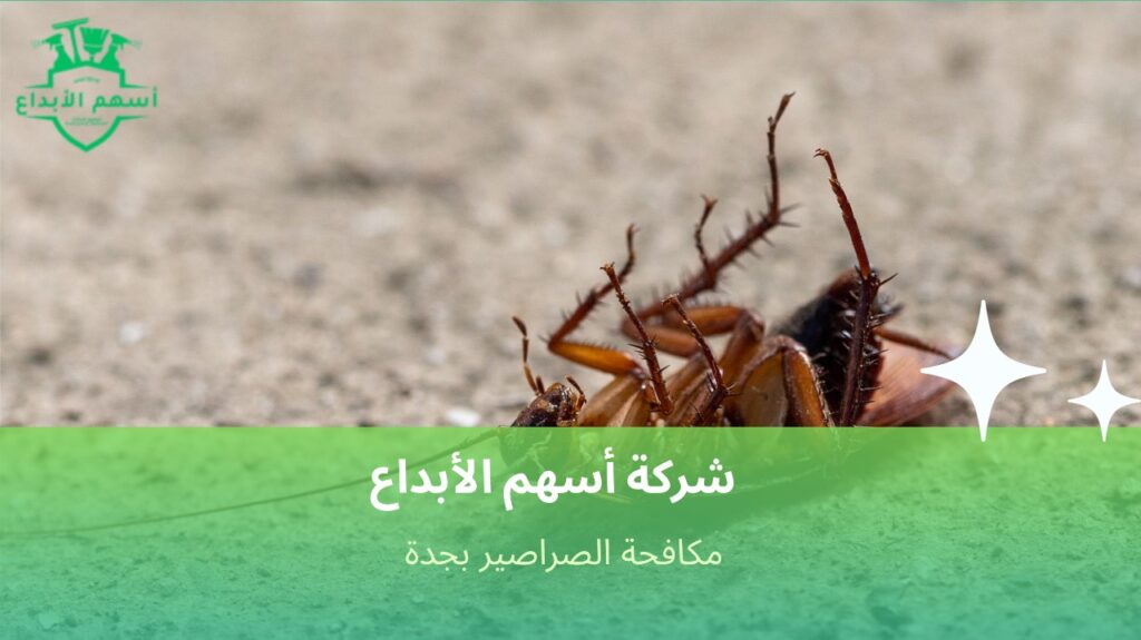 مكافحة الصراصير بجدة