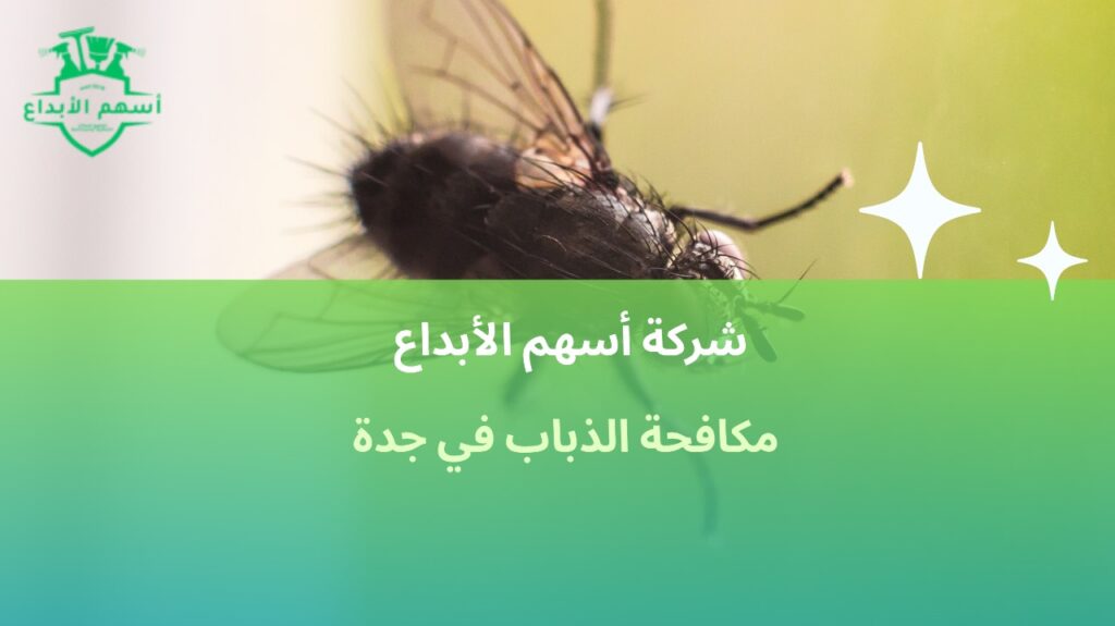 مكافحة الذباب في جدة