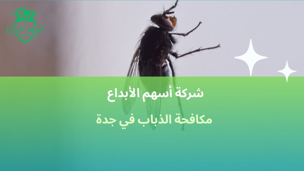 مكافحة الذباب في جدة