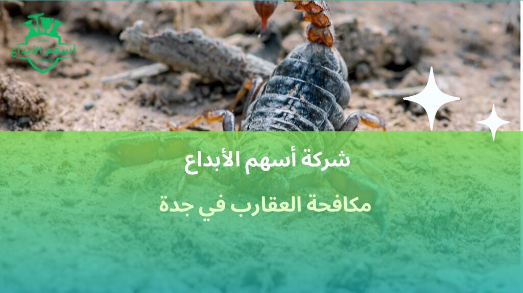 مكافحة العقارب في جدة