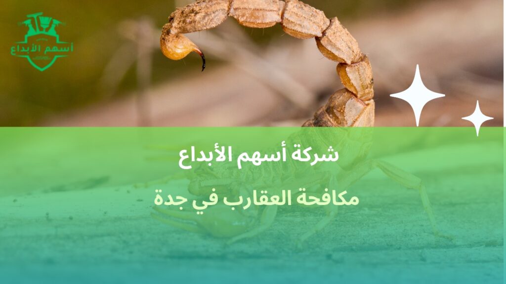 مكافحة العقارب في جدة