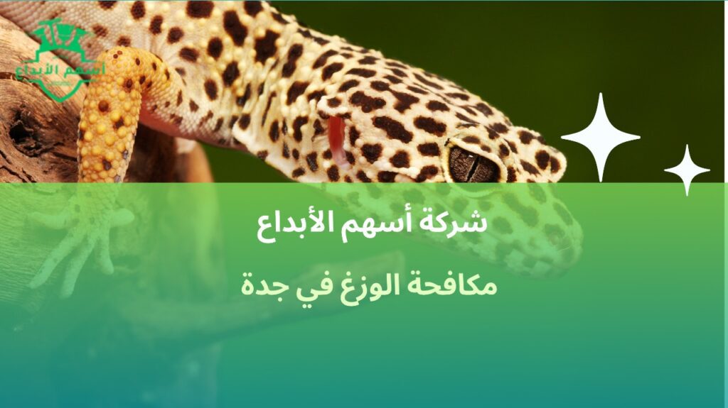 مكافحة الوزغ في جدة