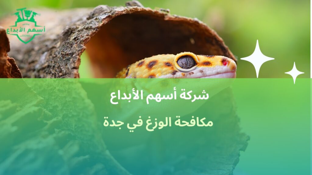 مكافحة الوزغ في جدة