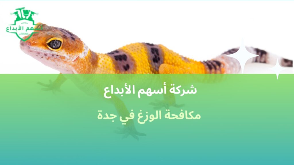 مكافحة الوزغ في جدة