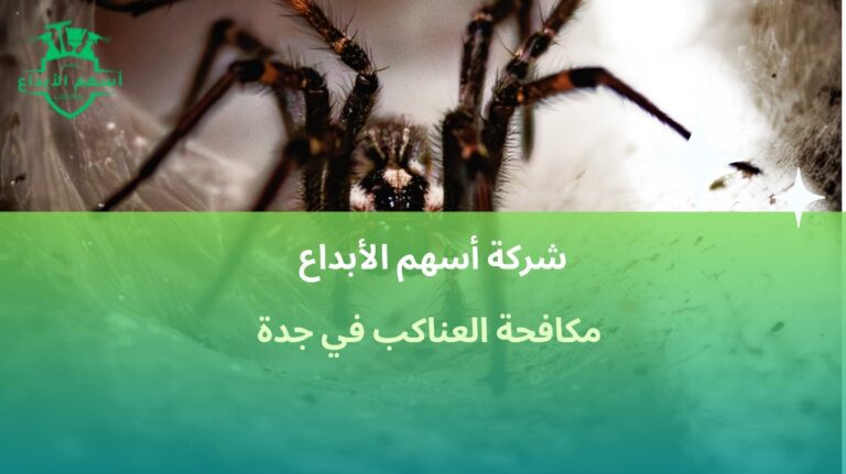 مكافحة العناكب في جدة