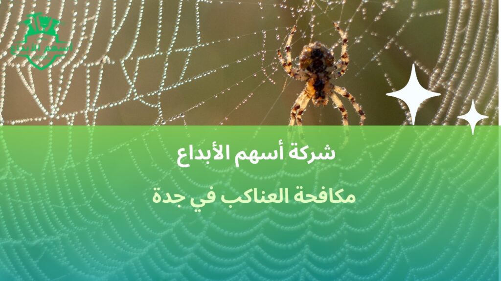 مكافحة العناكب في جدة