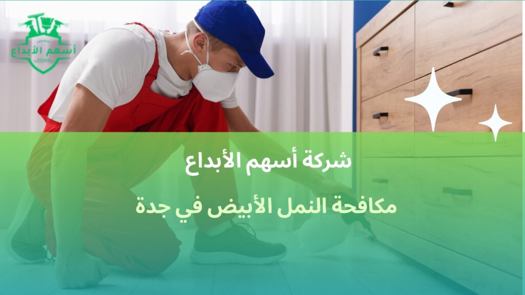 مكافحة النمل الأبيض في جدة
