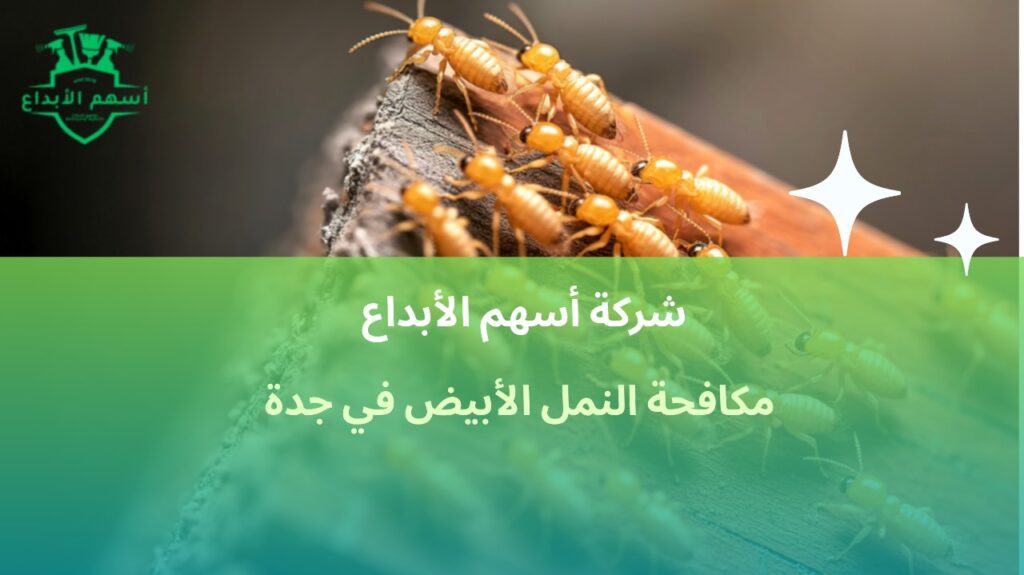 مكافحة النمل الأبيض في جدة