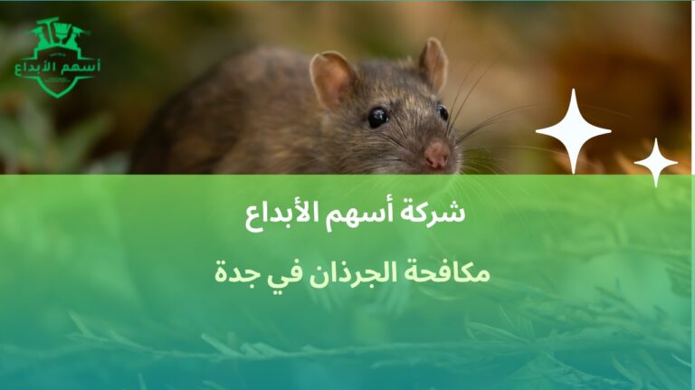 افضل شركة مكافحة الجرذان في جدة شركة متخصصة بخصم10%اتصل الان