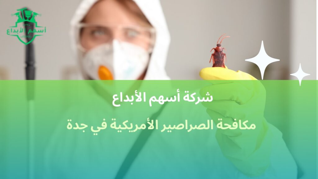 مكافحة الصراصير الأمريكية في جدة