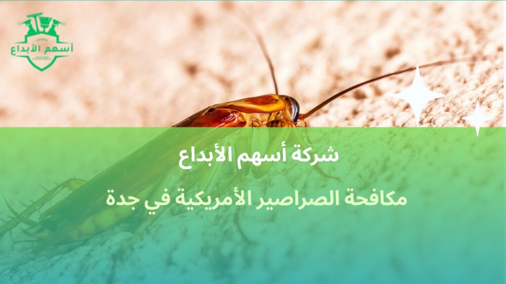 مكافحة الصراصير الأمريكية في جدة