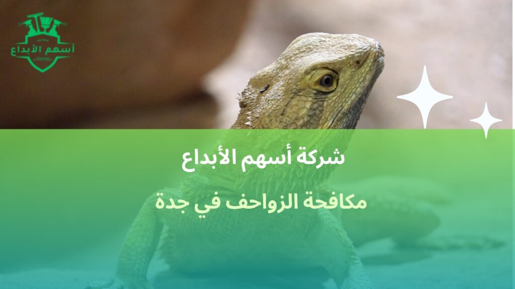 مكافحة الزواحف في جدة