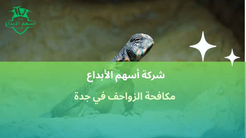 مكافحة الزواحف في جدة