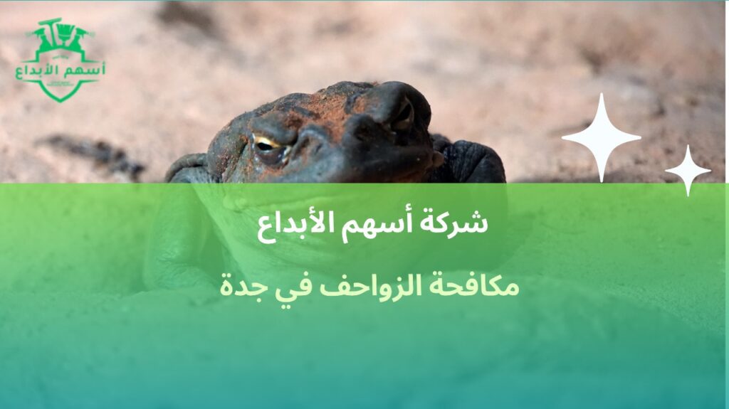 مكافحة الزواحف في جدة