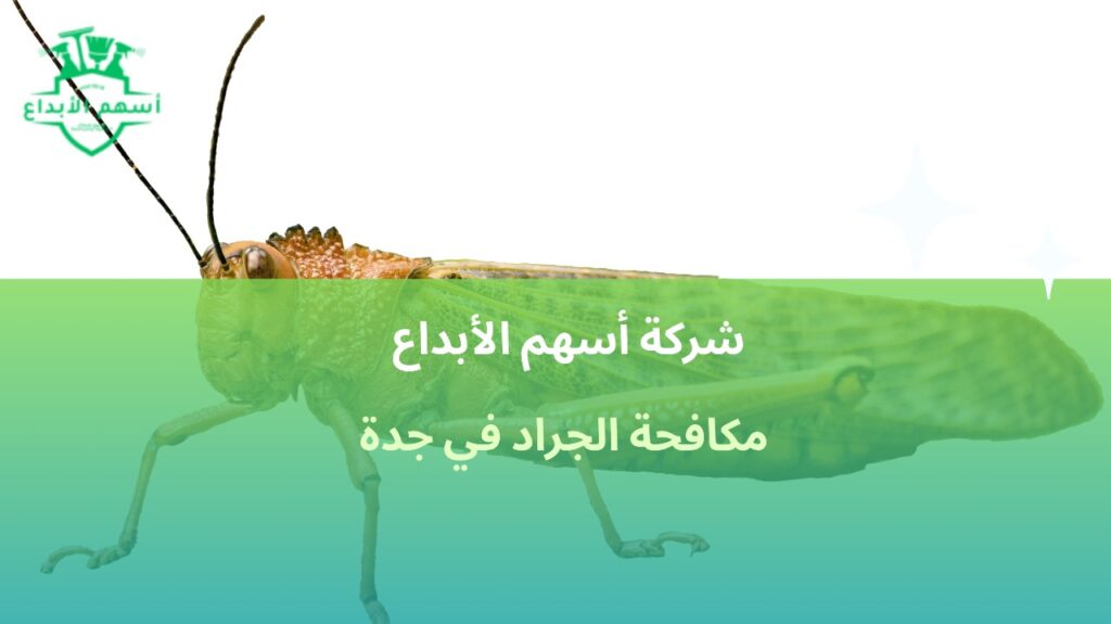 مكافحة الجراد في جدة