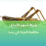 مكافحة الجراد في جدة خدمات فورية وآمنة لحماية المنازل بخصم10%