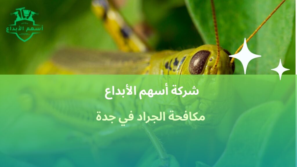 مكافحة الجراد في جدة