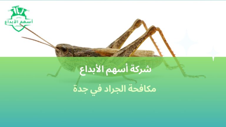 مكافحة الجراد في جدة خدمات فورية وآمنة لحماية المنازل بخصم10%