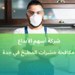 مكافحة حشرات المطبخ في جدة