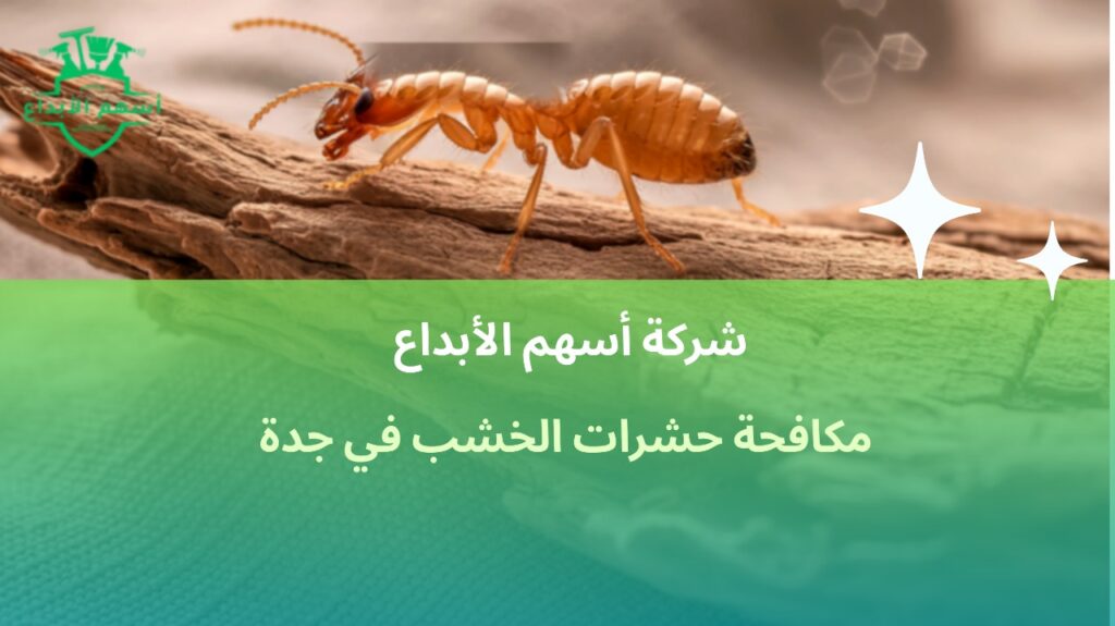 مكافحة حشرات الخشب في جدة