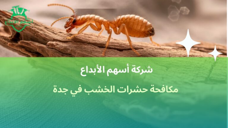 مكافحة حشرات الخشب في جدة
