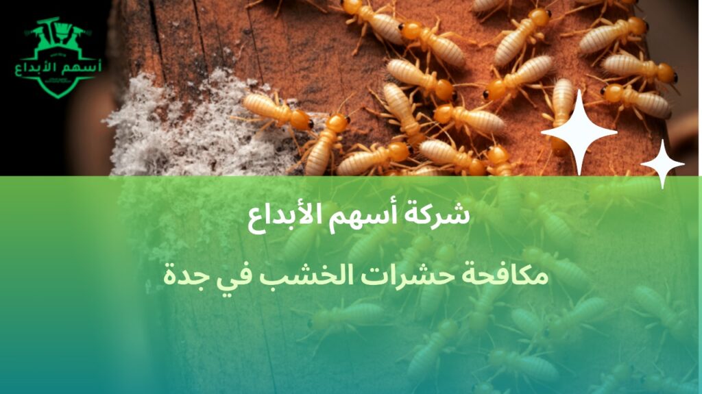 مكافحة حشرات الخشب في جدة