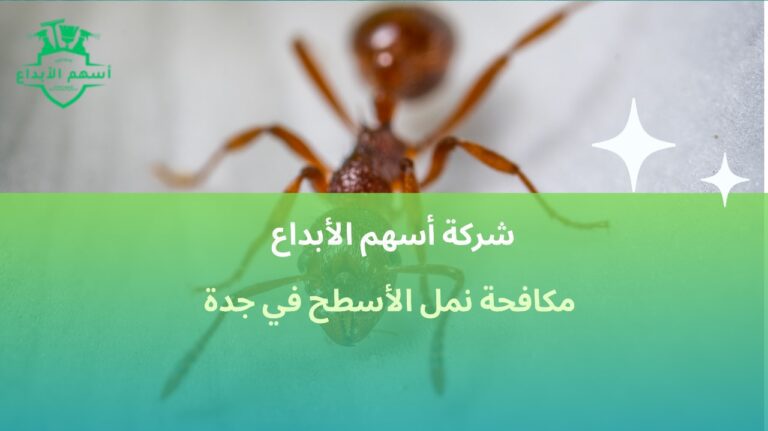 مكافحة نمل الأسطح في جدة لحماية خزانات وأسقف المنازل بخصم10%