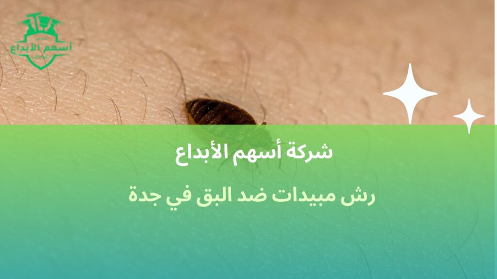 رش مبيدات ضد البق في جدة