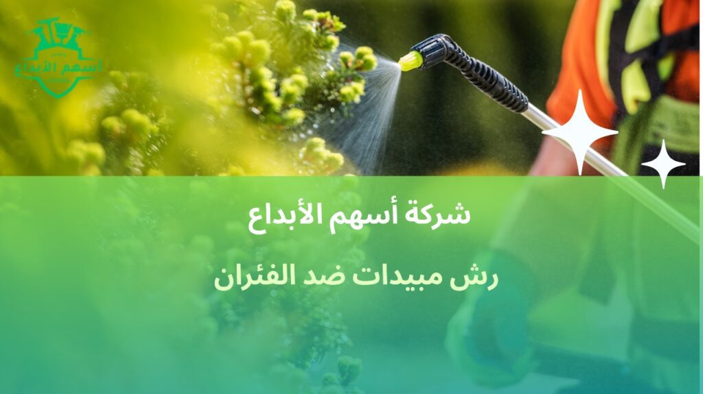 رش مبيدات ضد الفئران في جدة