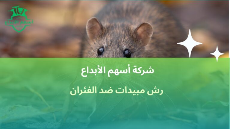 رش مبيدات ضد الفئران في جدة