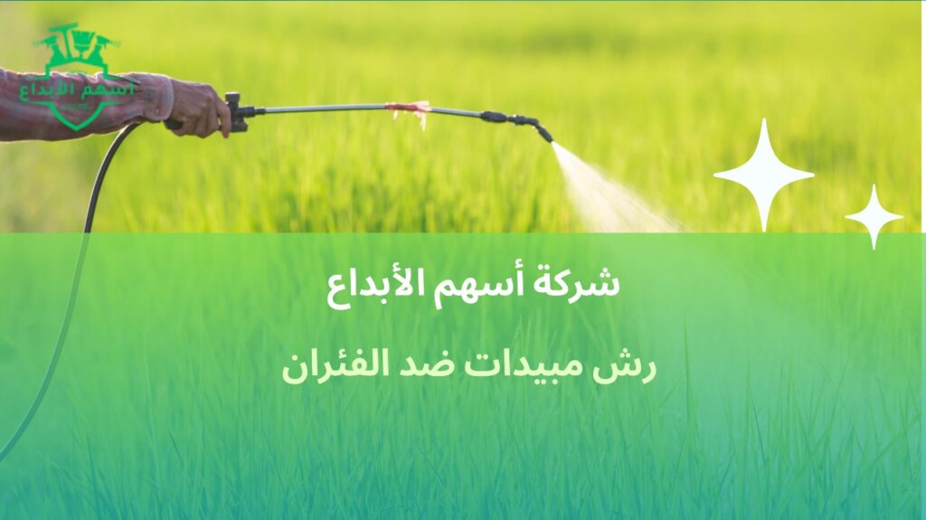 رش مبيدات ضد الفئران في جدة