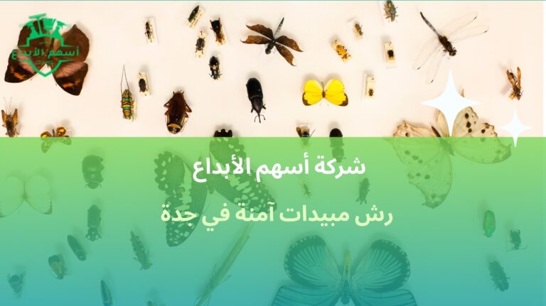 افضل رش مبيدات آمنة في جدة حماية منزلك ومكتبك من الحشرات 2026