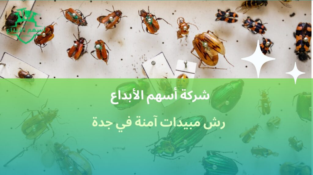 رش مبيدات آمنة في جدة