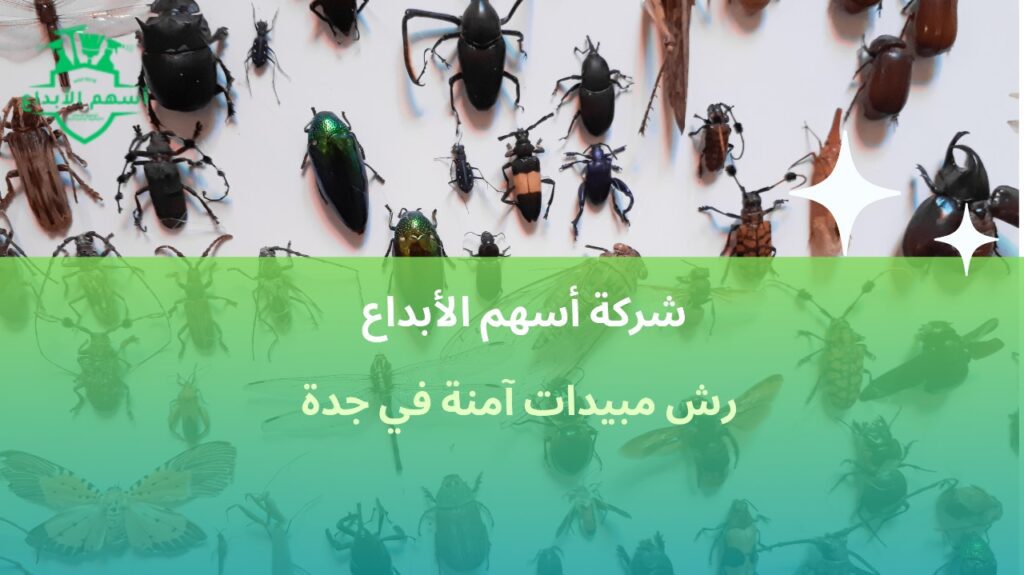 رش مبيدات آمنة في جدة