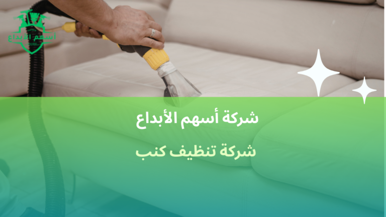 شركة تنظيف كنب